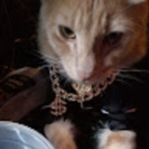 Meet your Posher, Indeed